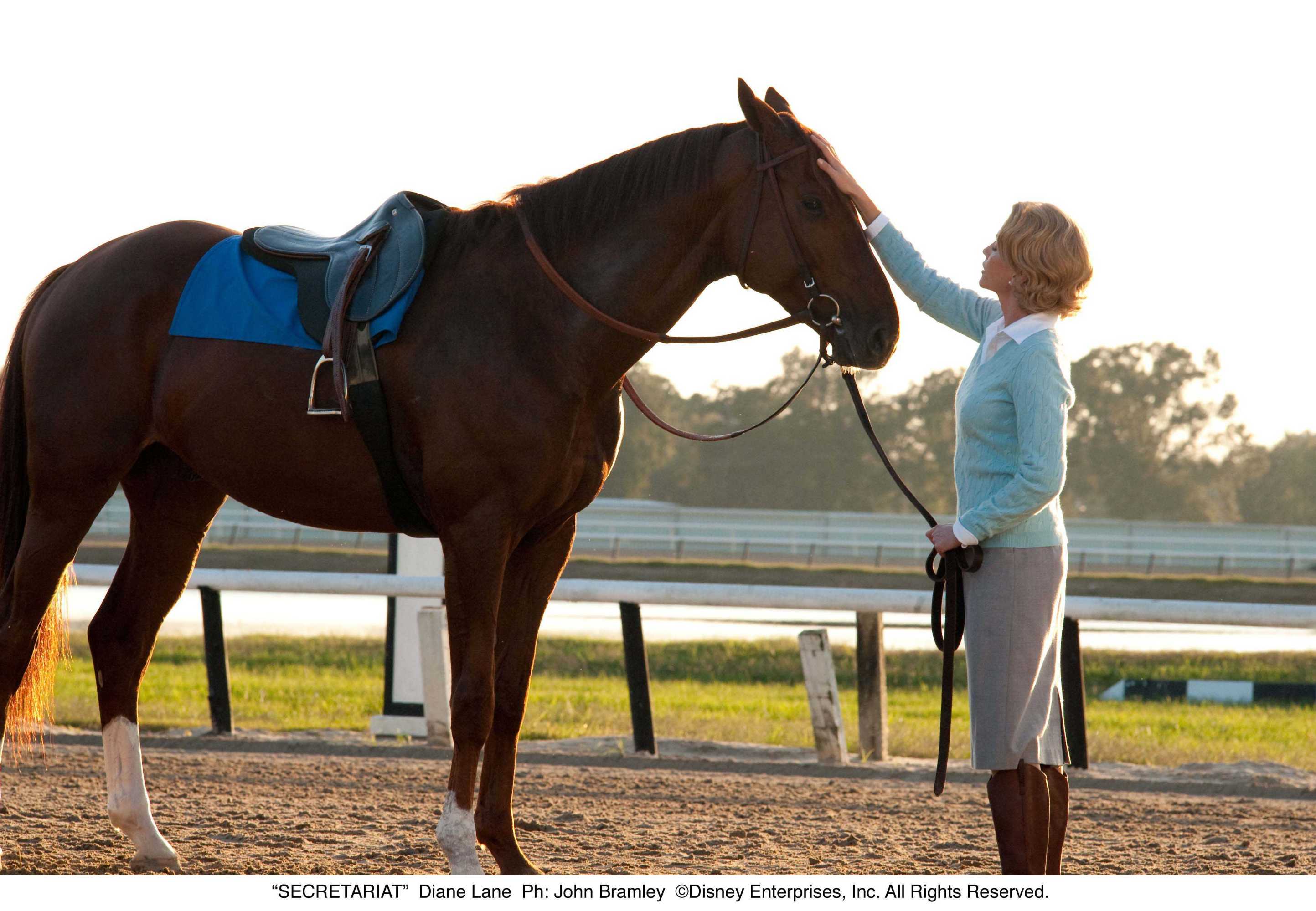  p>《一代骄马》是由华特·迪士尼电影工作室出品的剧情电影,于2010年