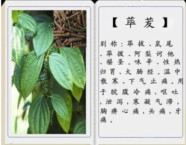 这也是为什么你要关注荜茇的理由!_百科TA说