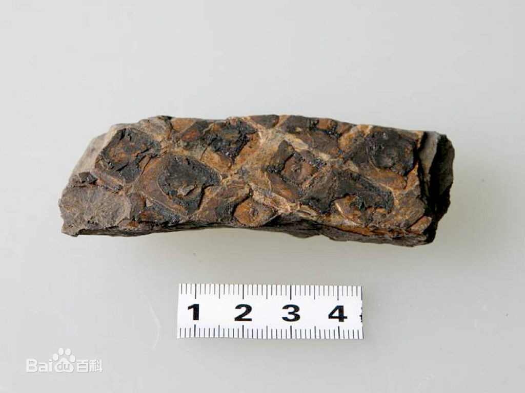  p>石炭纪(carboniferous)约处于 a href="#" data-lemmaid="2172198"