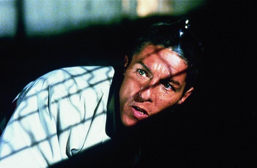 猎豹行动niddeguêpes(2002)