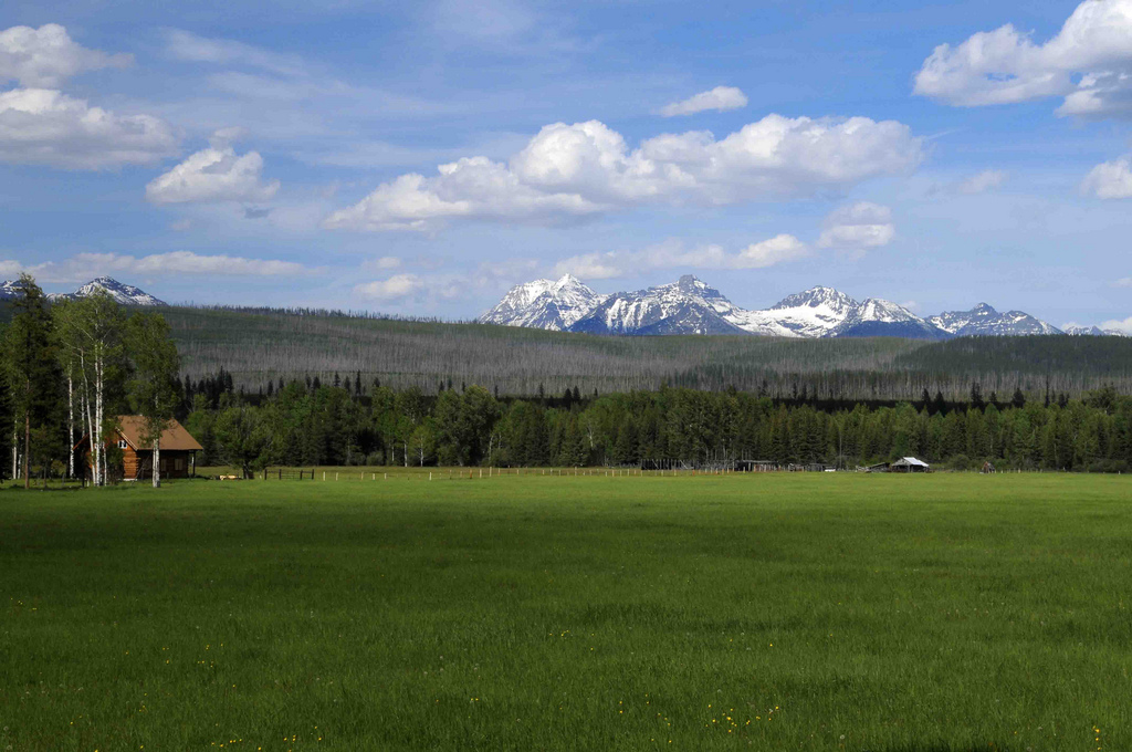 p>美国冰川国家公园(glacier national park)位于美国蒙大拿州北部
