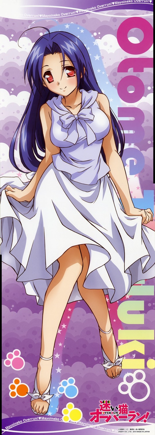  p data-id="go0qv4uqrt">电视动画《娇蛮猫娘大横行!