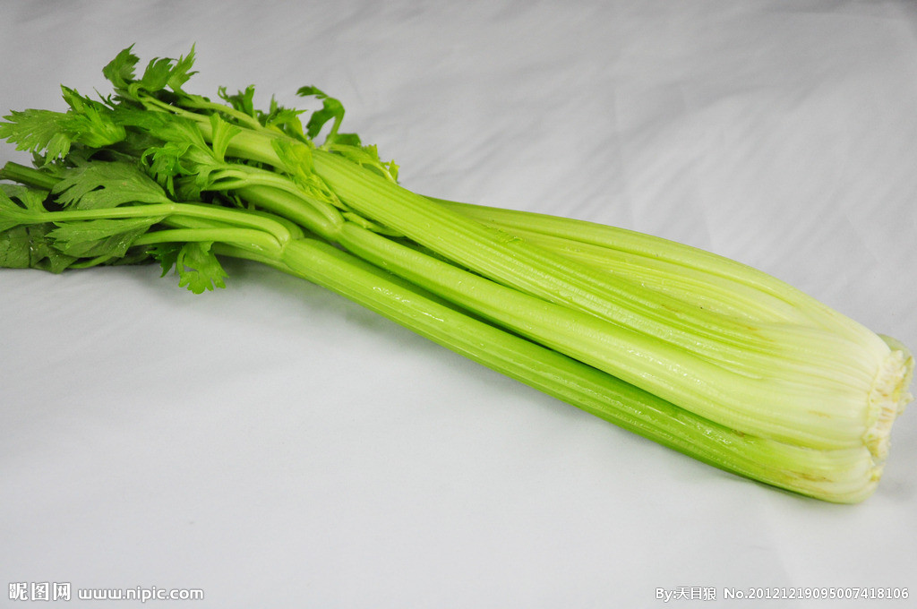  p>香芹(学名:petroselinum crispum)为伞形科欧芹属的二年生草本植物