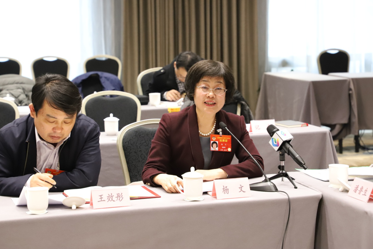 杨文