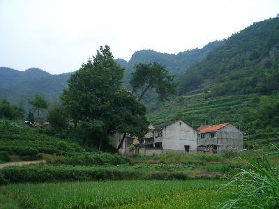 泉溪村