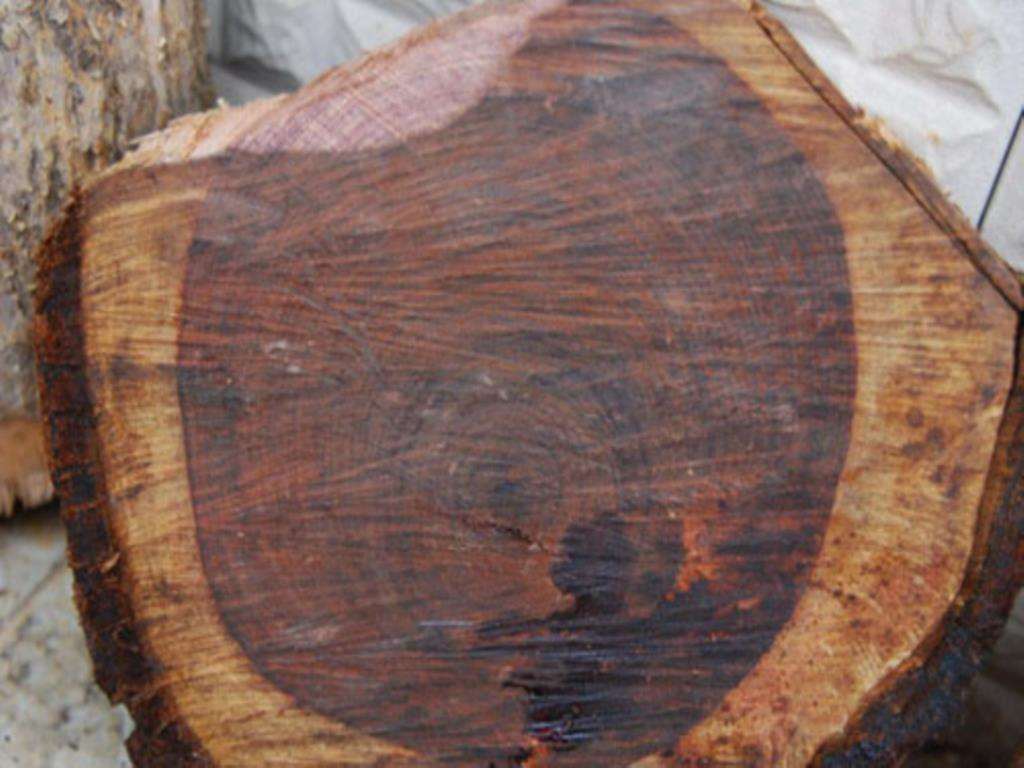  p>红酸枝木(拉丁学名dalbergia cochinchinensis pierre)是 a href="