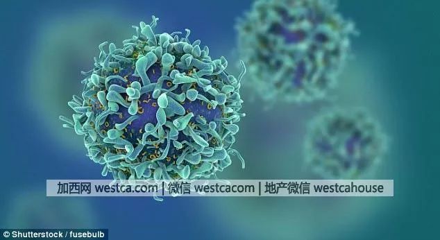 寒冷气候让人更容易患上癌症_百科TA说