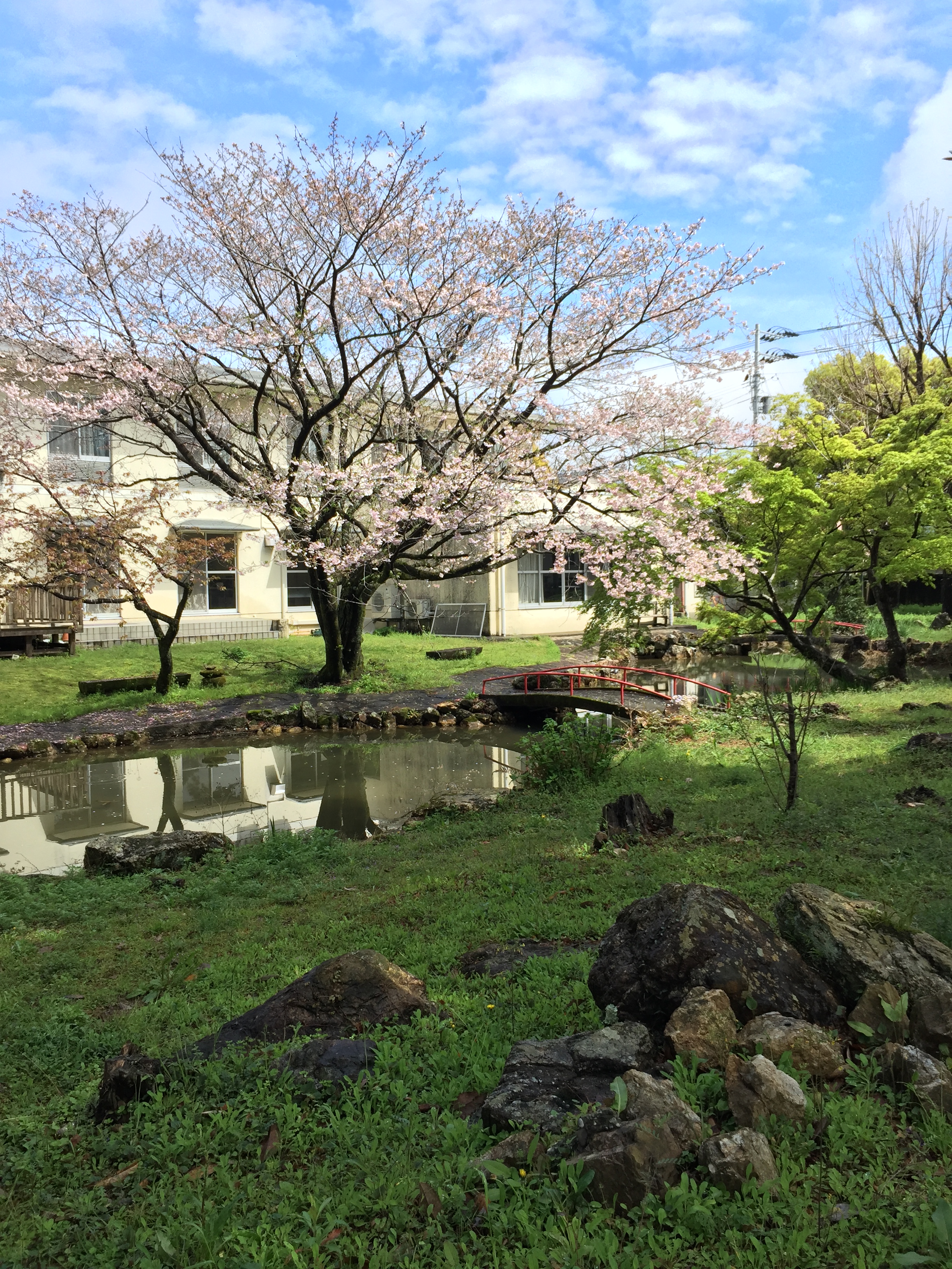  p>高知大学(日文平假名:こうちだいがく;英文:kochi university),于