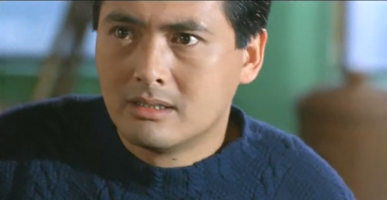 纵横四海/纵横天下