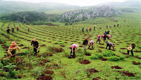 关于下达2016年退耕还林还草年度任务的通知