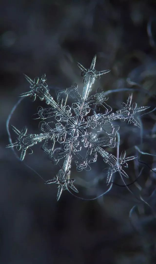 你知道中国有雪神吗?他是谁呢？_百科TA说