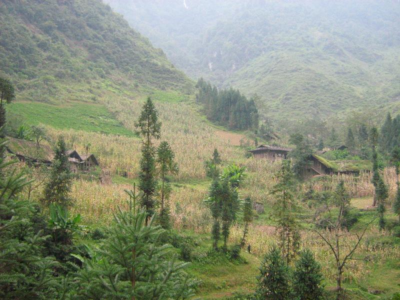 石灰窑村