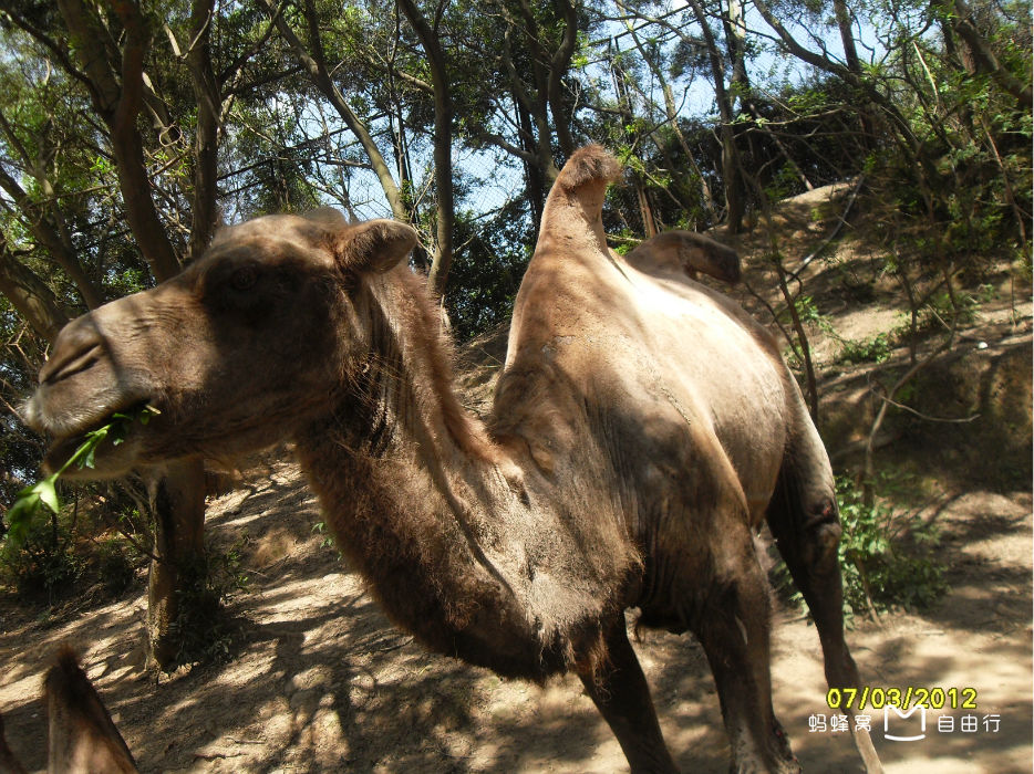 厦门海沧动物园