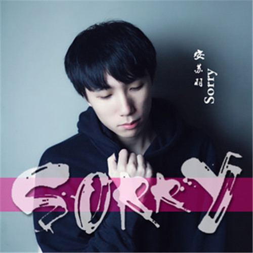  p>《sorry》是由安苏羽作词,作曲,编曲,贾佳混缩和和声,安苏羽演唱的