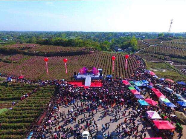  p>藕塘乡(已撤销),隶属于四川省眉山市仁寿县,地处 a target="_blank