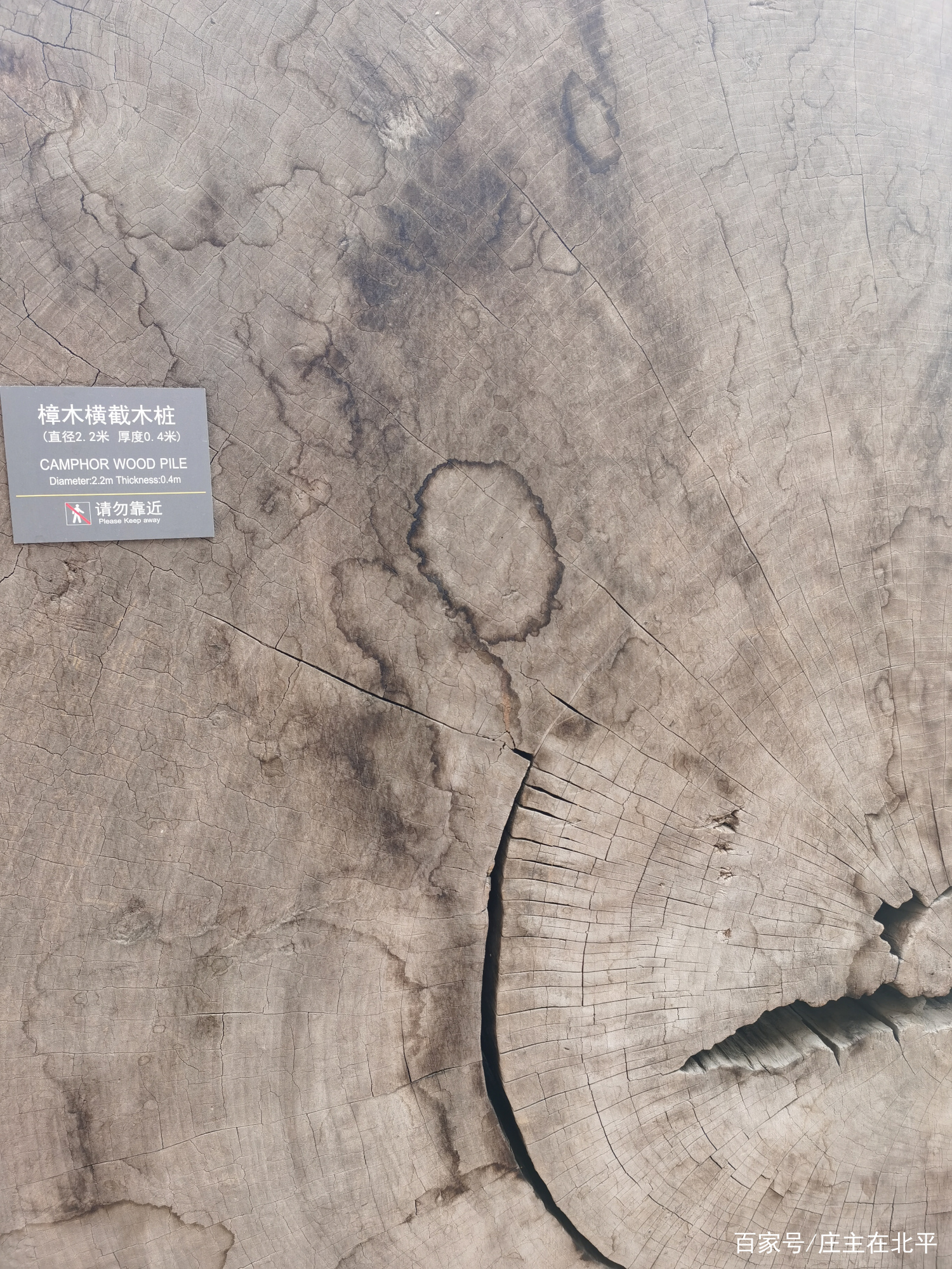 紫檀家具、乌木鸡翅木家具等展品，唐僧迟重瑞夫人陈丽华的博物馆_百科TA说