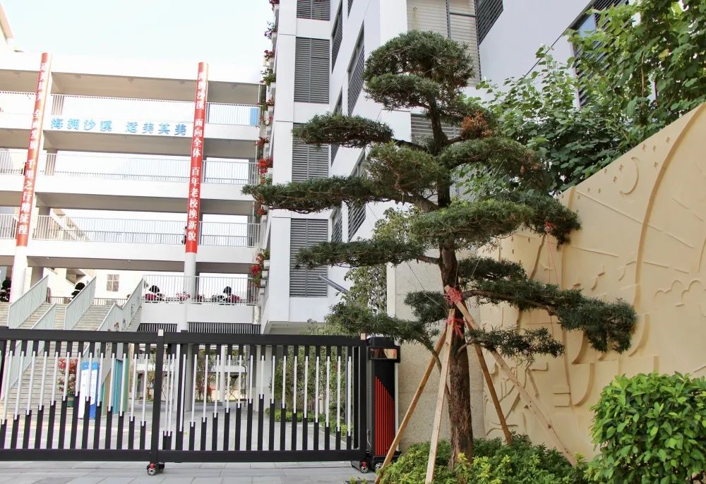 深圳市宝安区沙溪小学