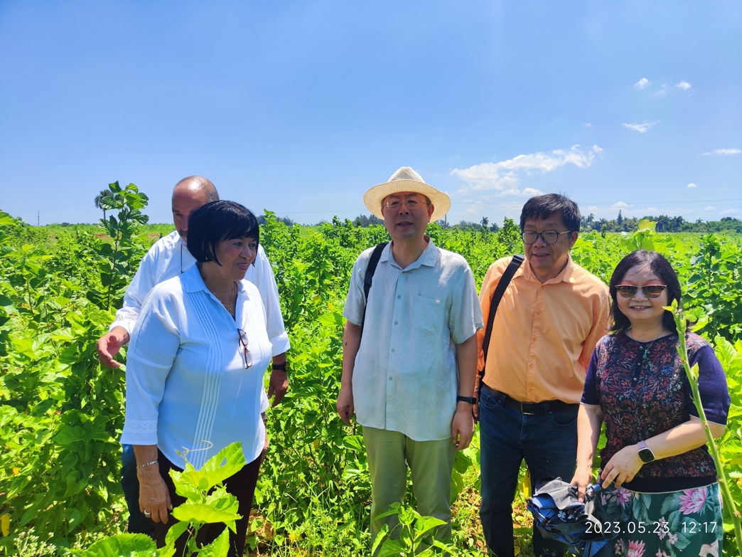  p data-id="tizuuw1pbxue">李龙,1960年2月1日生,四川 span class="