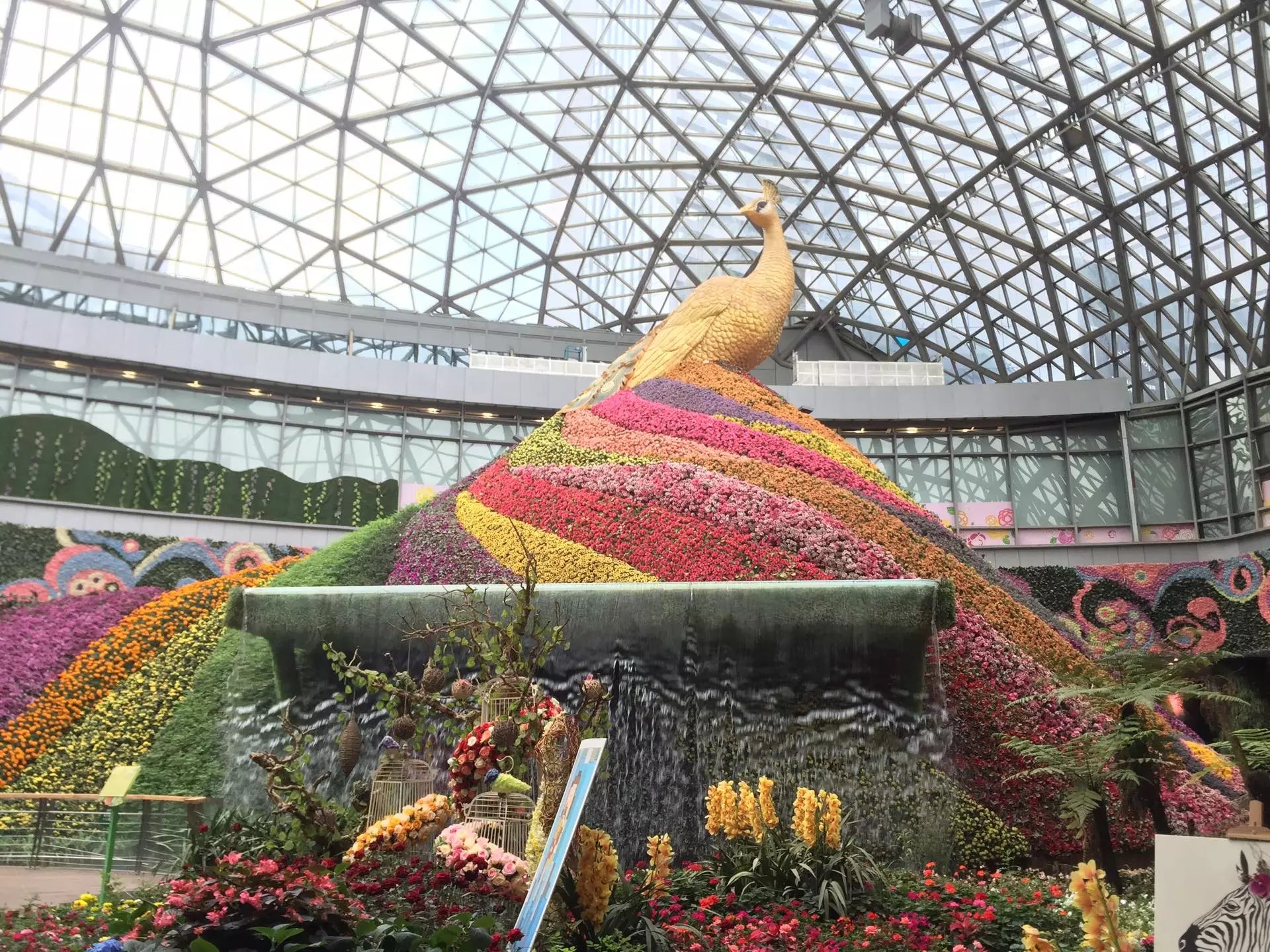 昆明花之城