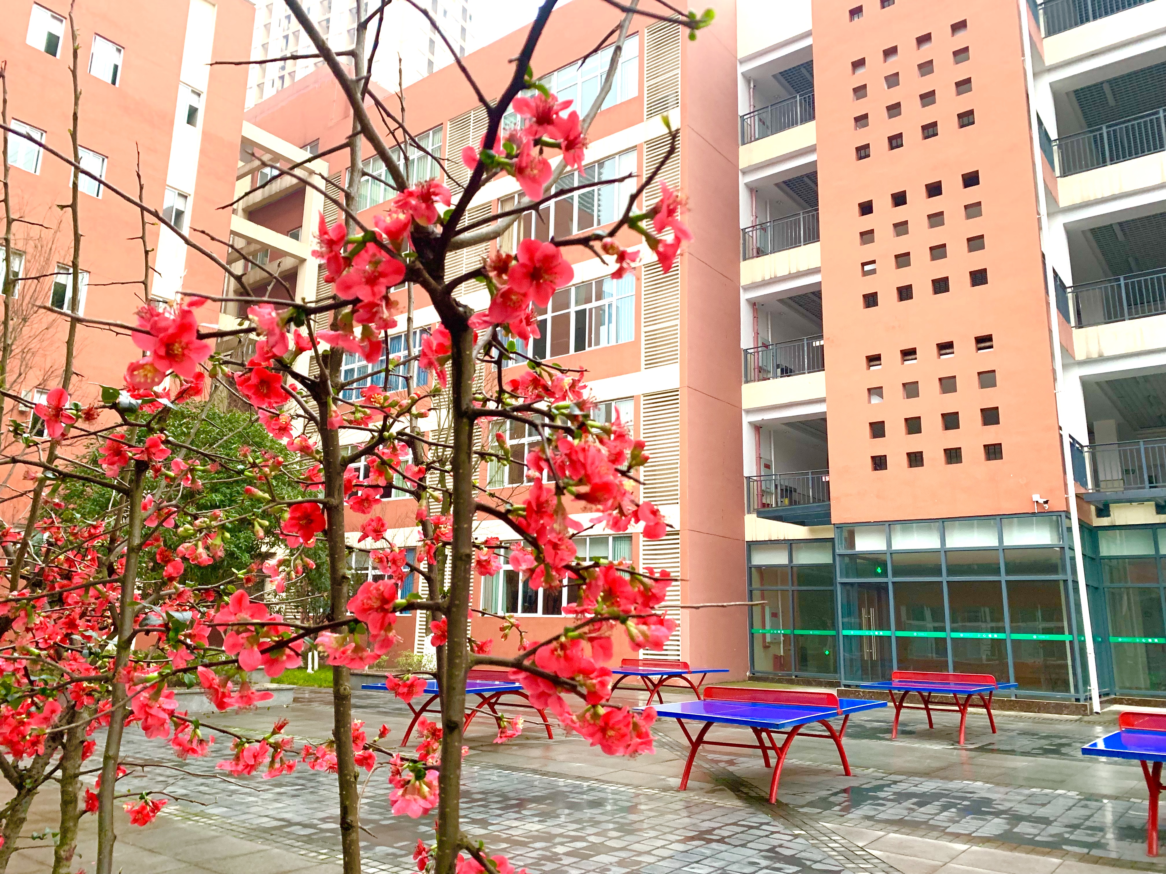 重庆市沙坪坝区学府悦园第一小学校