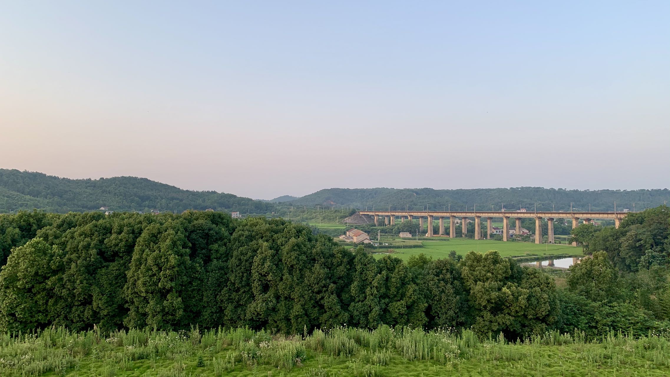  p>湖北省 a target="_blank" href="/item/松滋市/5863489" data