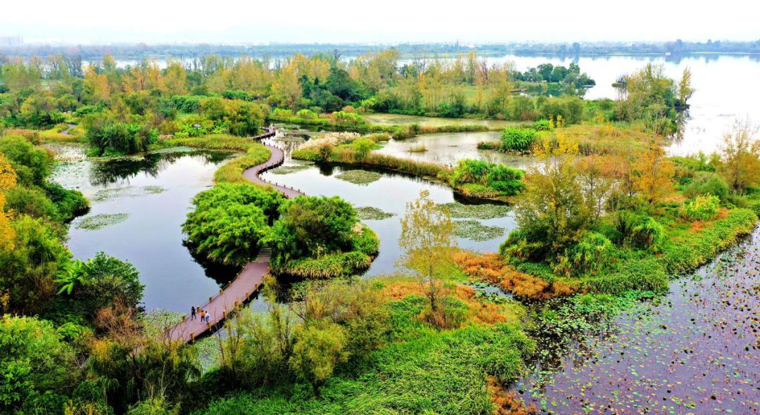  p>邛海国家湿地公园是经国家林业局批准建立并公布的具有较高生态