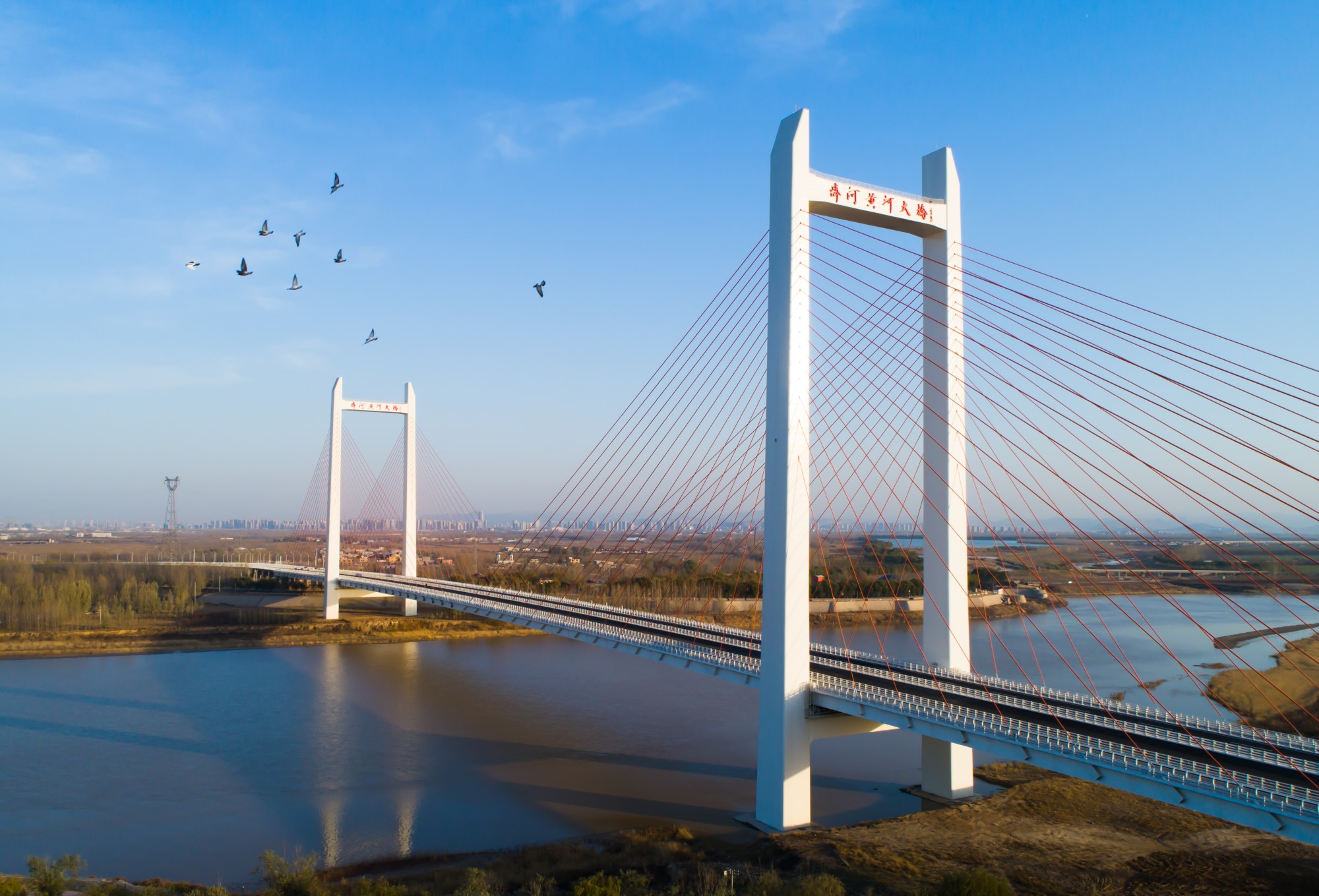 齐河黄河大桥