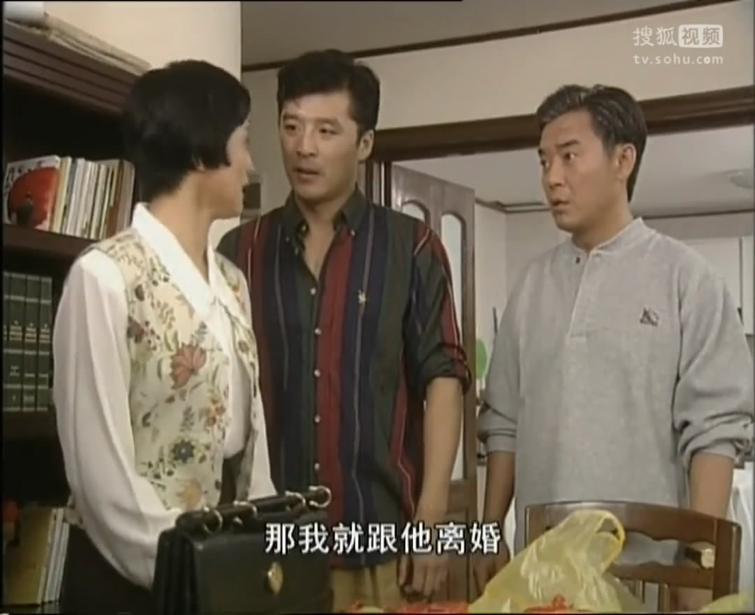 田教授家的二十个保姆