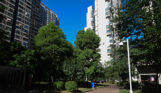 总占地面积47537,共计房屋1963户,小区物业公司为武汉市福星惠誉物业