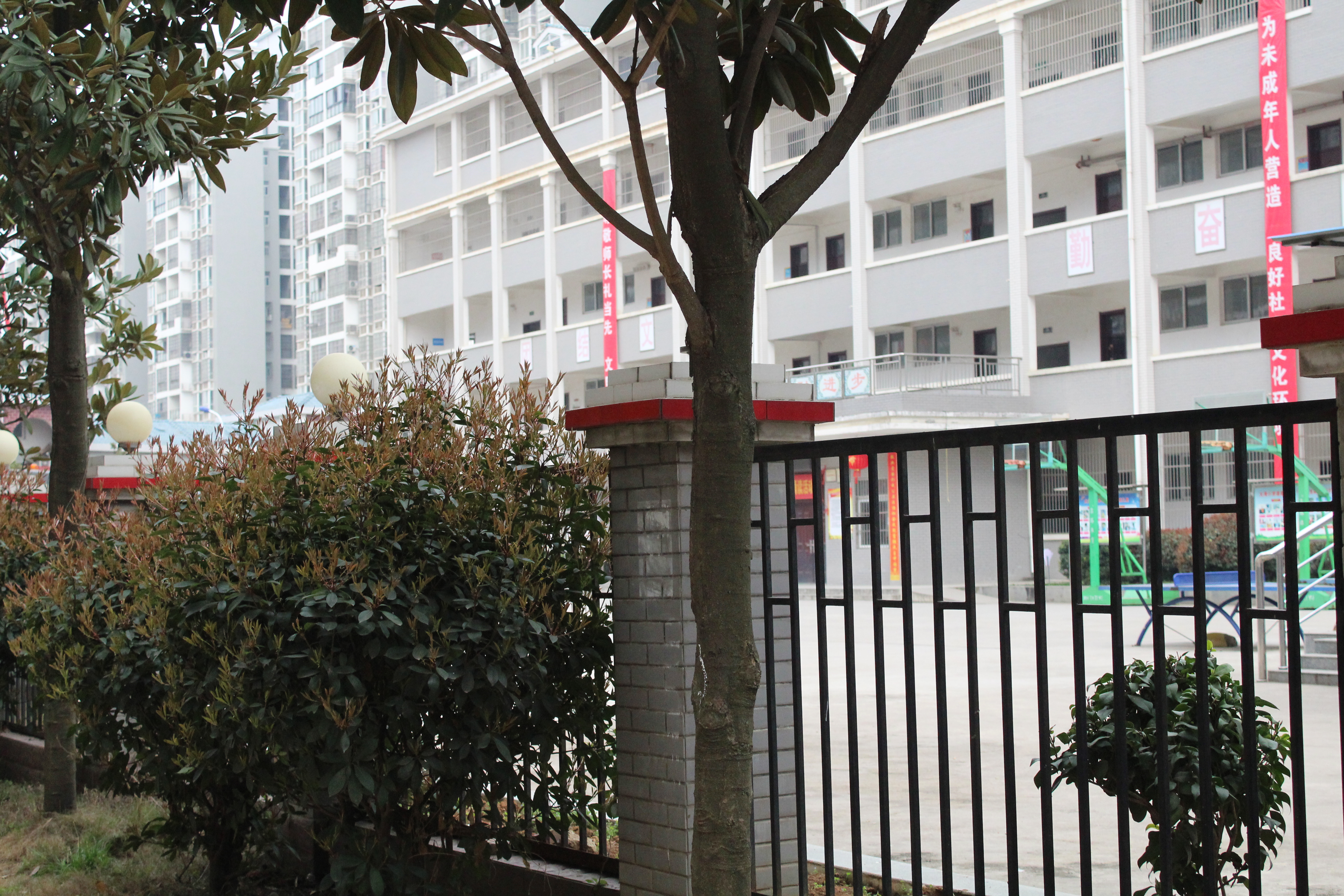 葛店开发区大湾小学