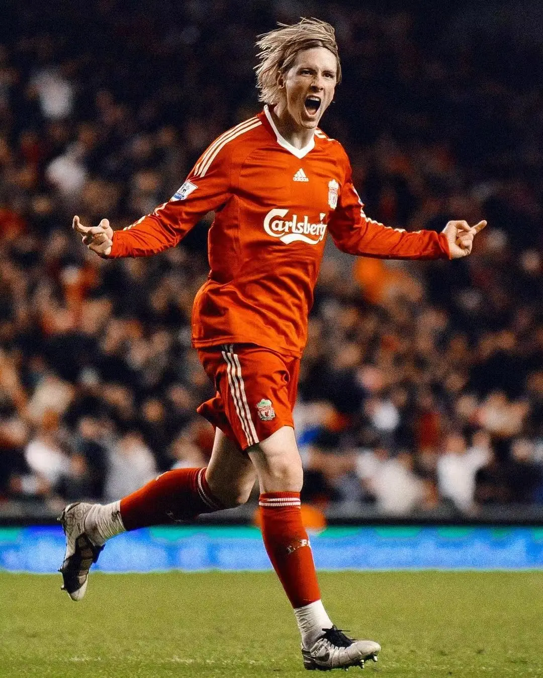 费尔南多·何塞·托雷斯·桑斯