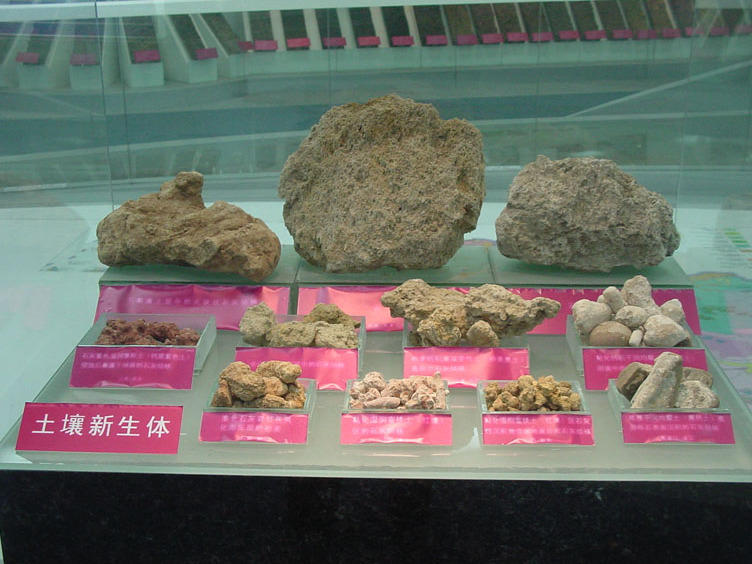 中国科学院南京土壤研究所标本馆