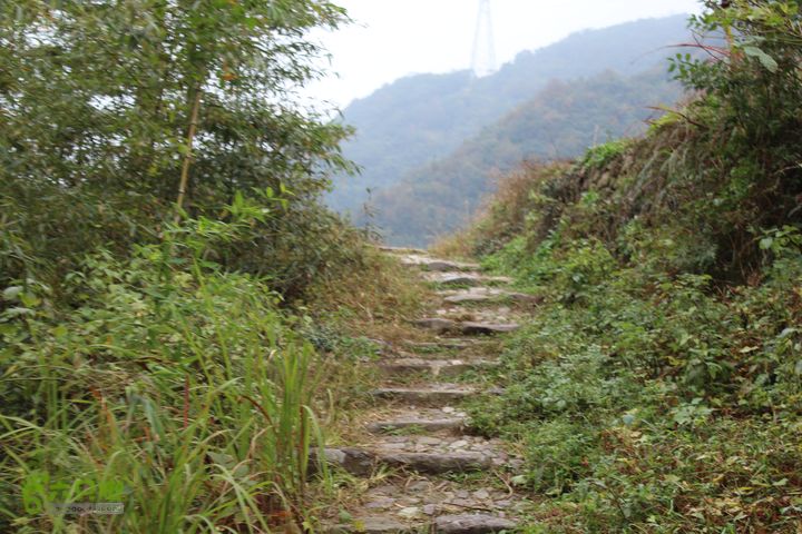 大岙岭古道