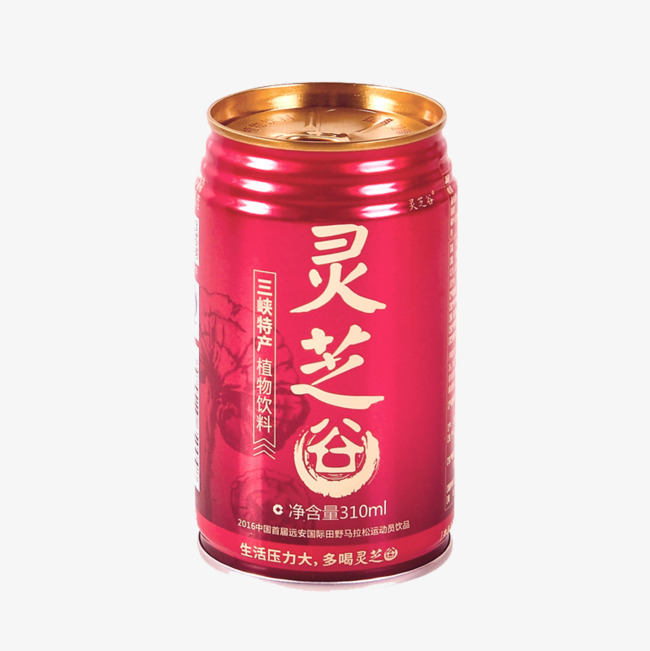灵芝甜酒饮料