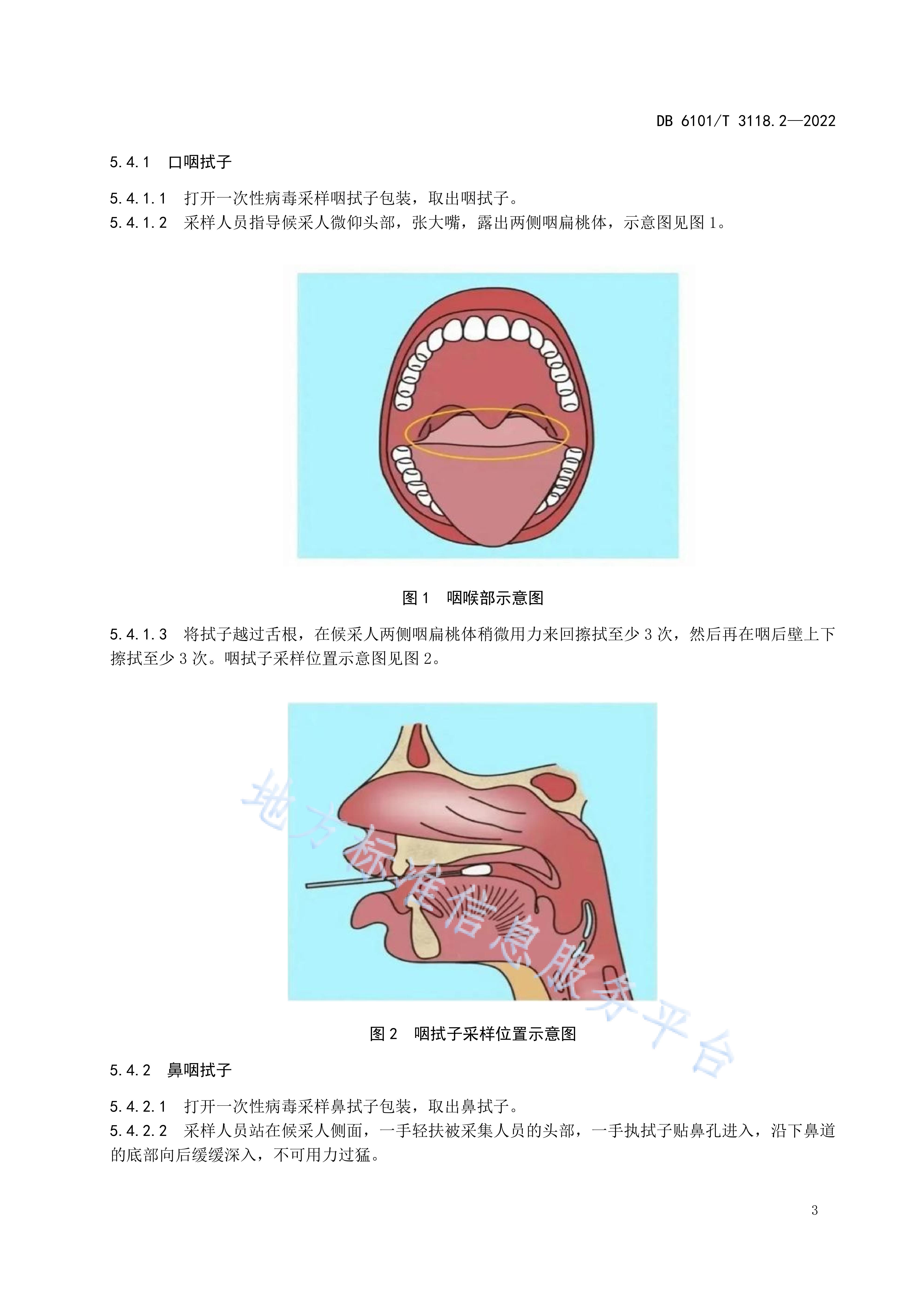 新型冠状病毒核酸标本采集—第2部分:采集方法