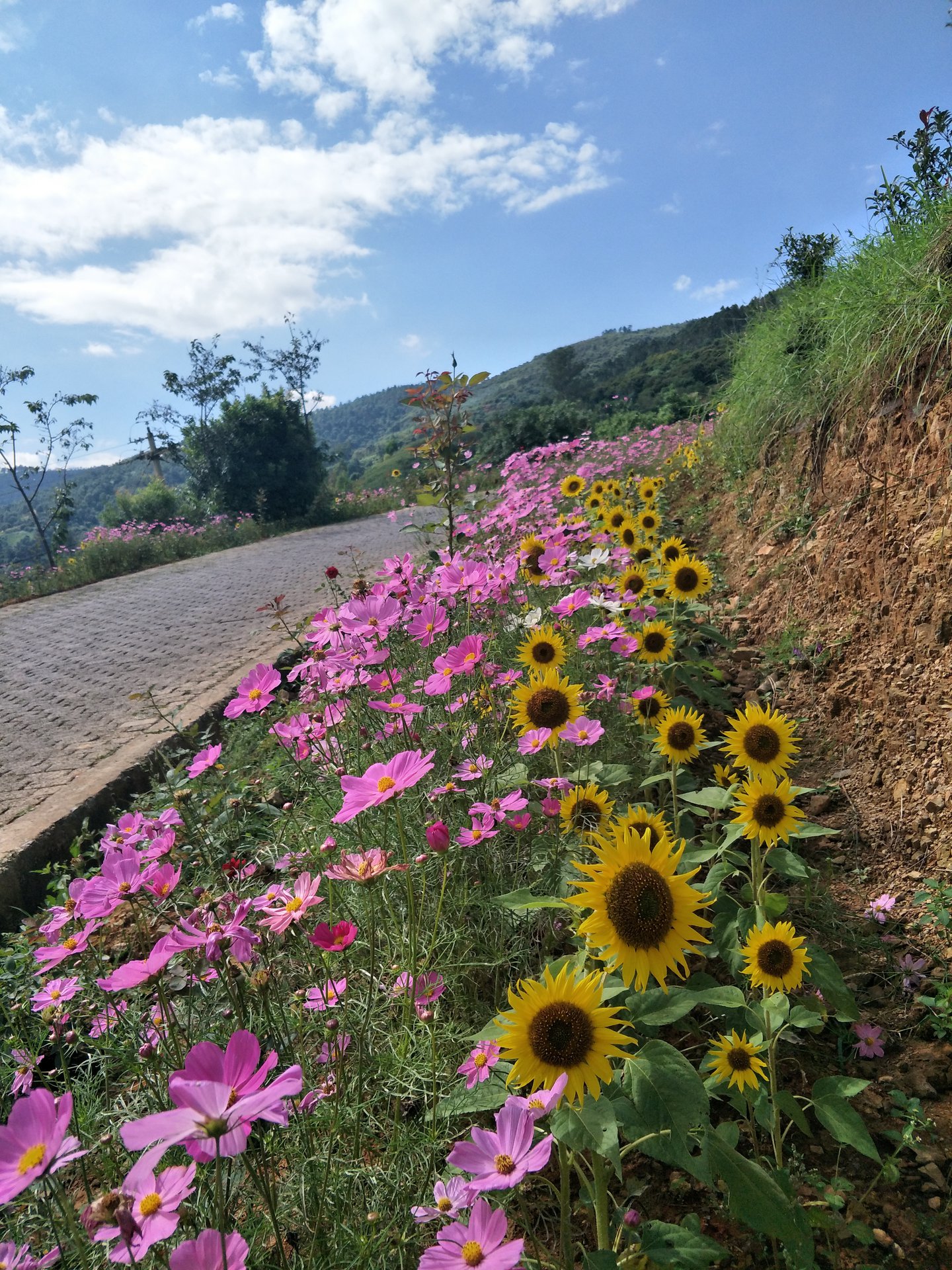  p>靖安哨,位于云南省昆明市宜良县匡远镇.