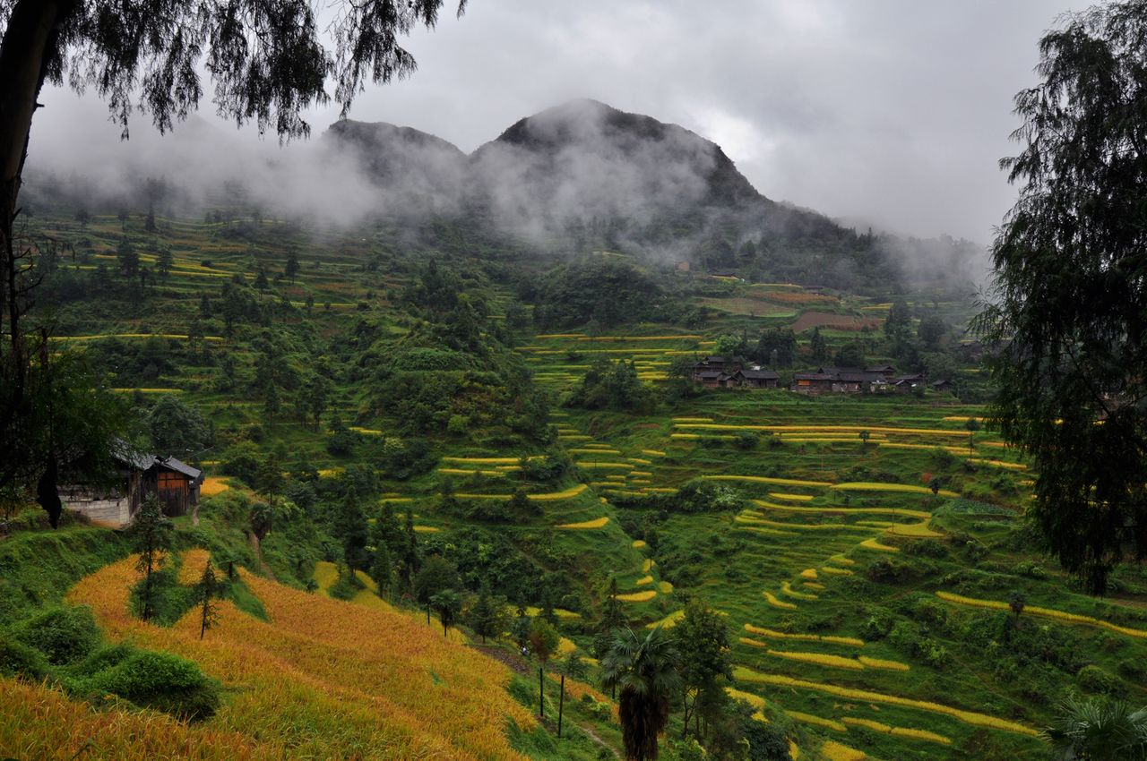  p data-id="gnx4v9cs0a">佛顶山是国家aaaa级景区,位于贵州铜仁市