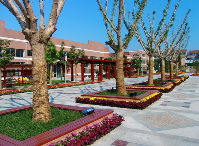 无锡市洛社高级中学