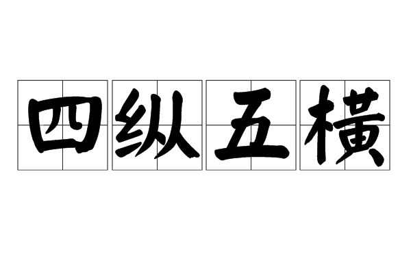 四纵五横