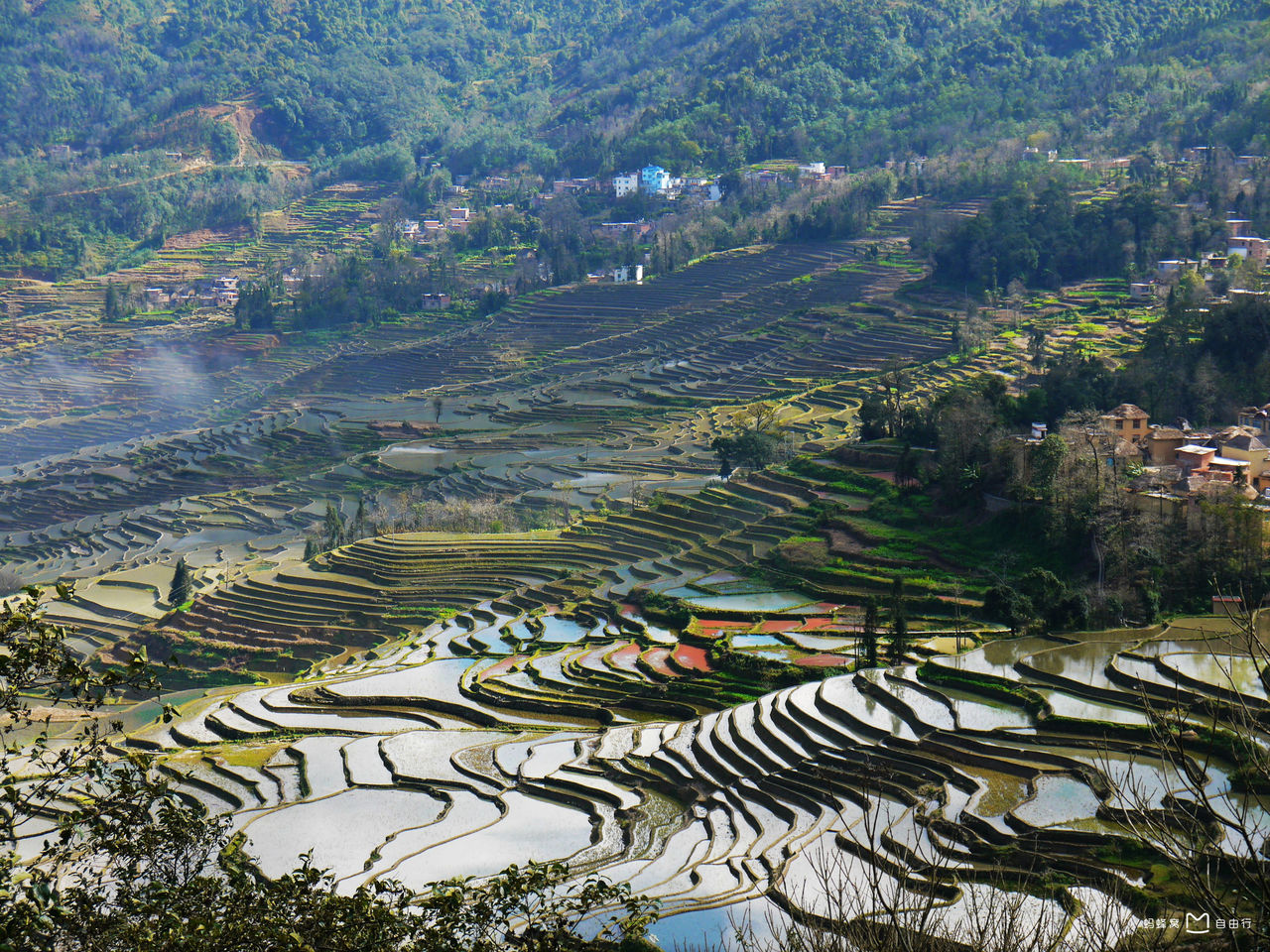  p>元阳梯田,位于云南省红河州 a target="_blank" href="/item/元阳