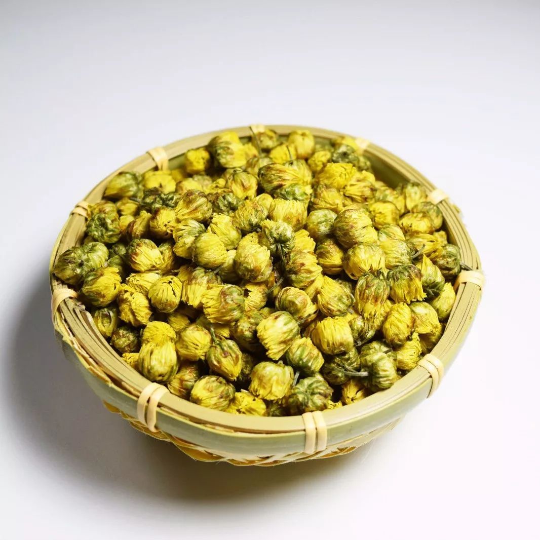 浙江杭白菊