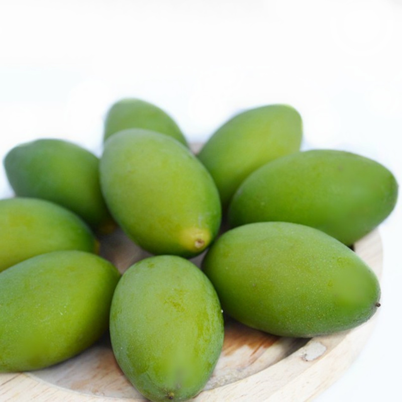  p>青橄榄(chinese white olive)(学名:canarium album raeusch.