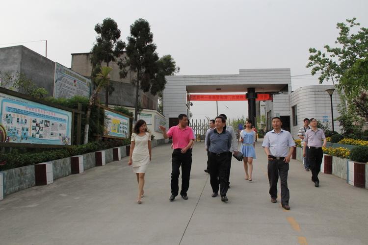 合江小学