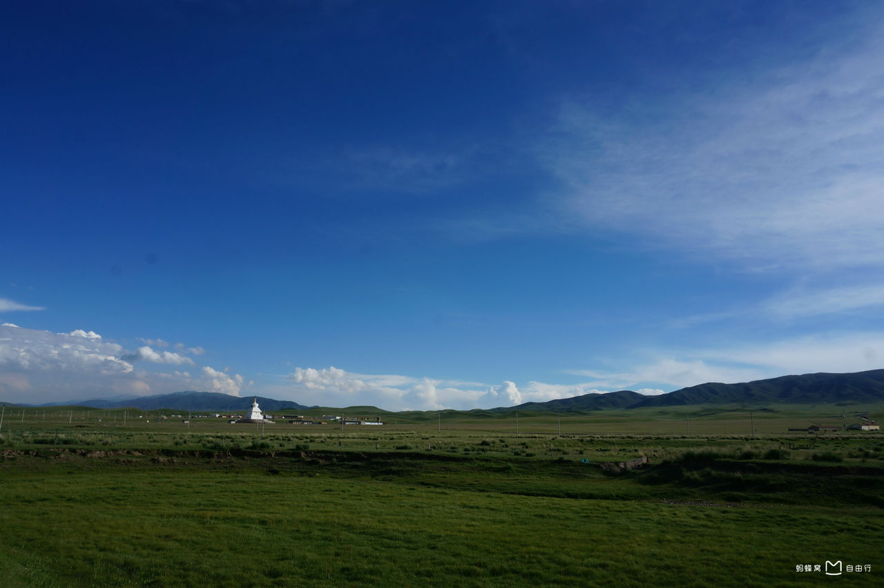  p>金银滩草原,位于青海省  a target="_blank" href="/item/海晏县