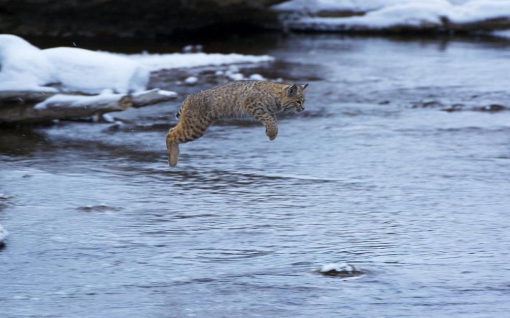  p>《地球脉动 第二季》是由 a target="_blank" href="/item/英国