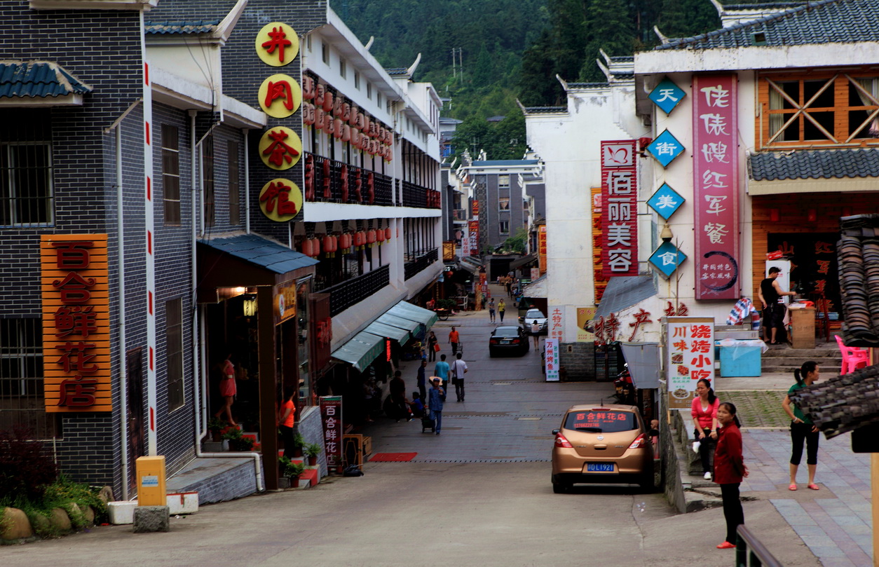  p data-id="gnywe3cfdw">茨坪镇,海拔841米,是一座美丽的公园式山城