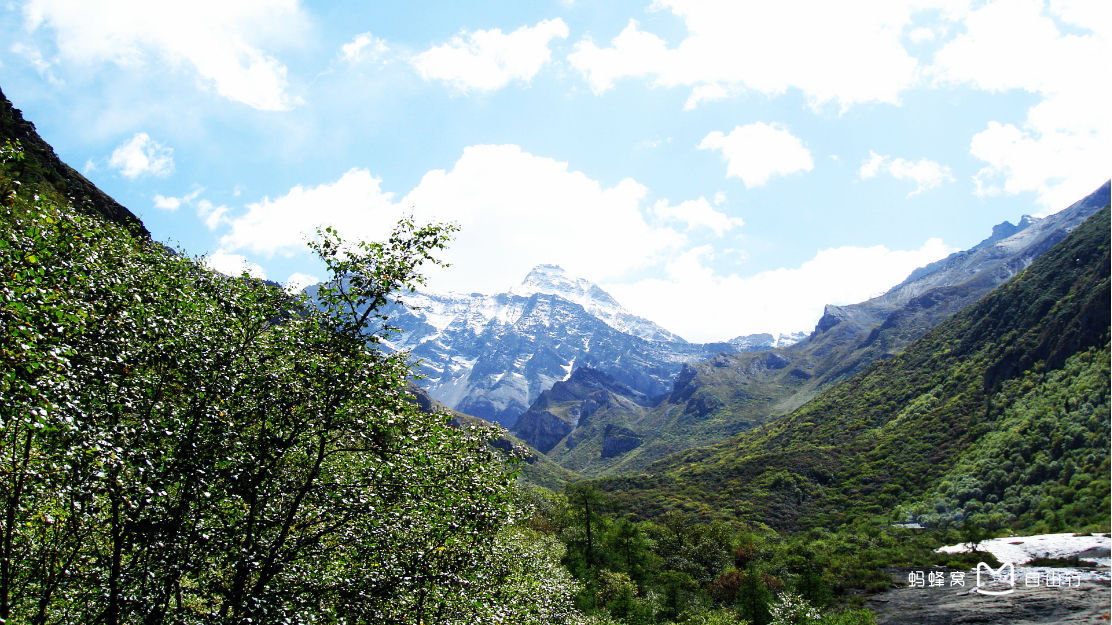 50°,雪宝顶位于松潘县境内,是岷山山脉主峰,最高海拔5588米,岷山主峰