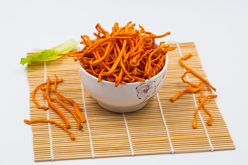  p>北虫草是北冬虫夏草的简称,也叫蛹虫草或蛹草,是菌结合的药用真菌.