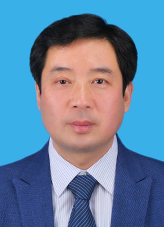 王兆刚（中国诚通控股集团有限公司纪委书记）_百度百科