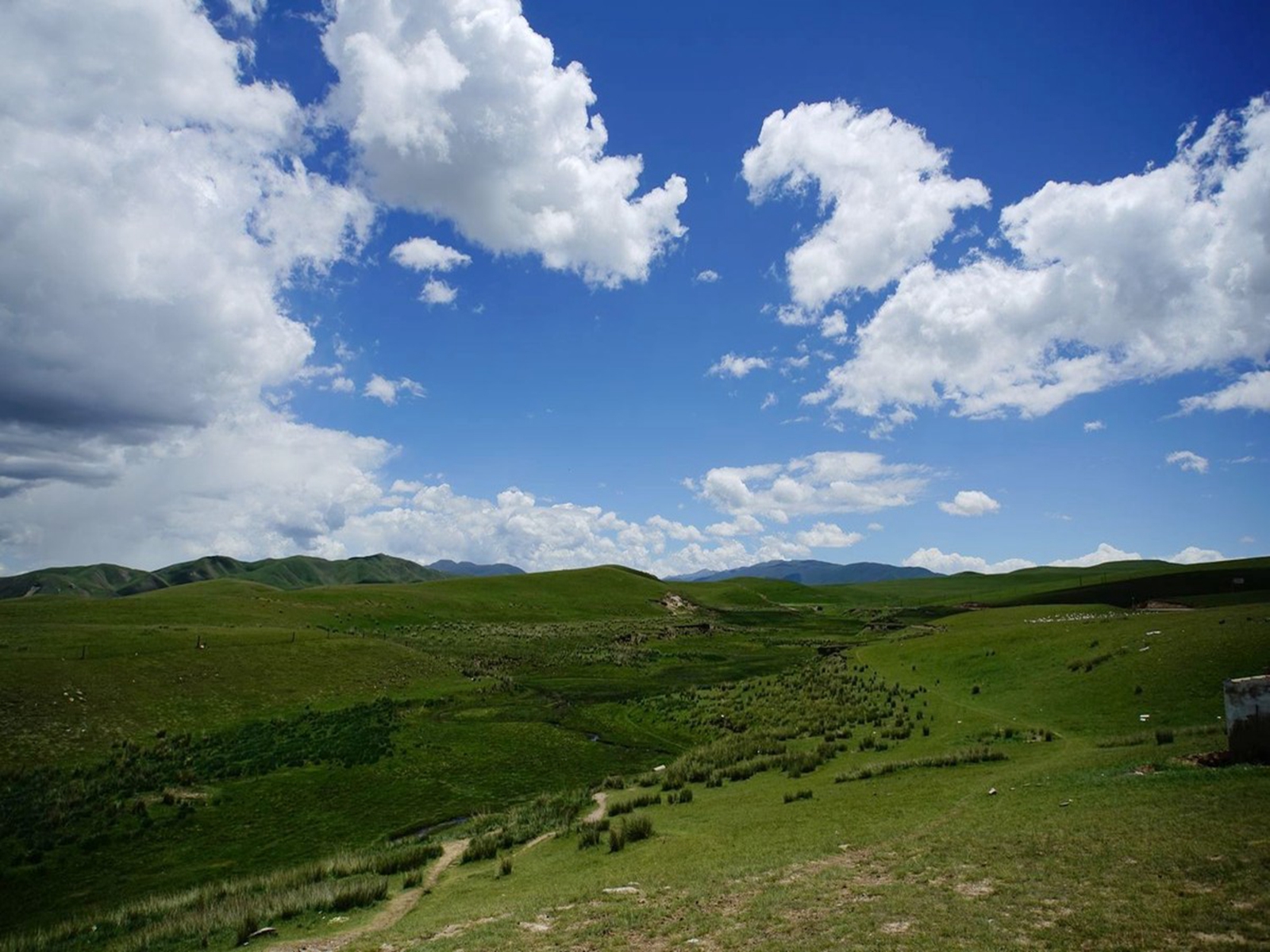  p>金银滩草原,位于青海省  a target="_blank" href="/item/海晏县